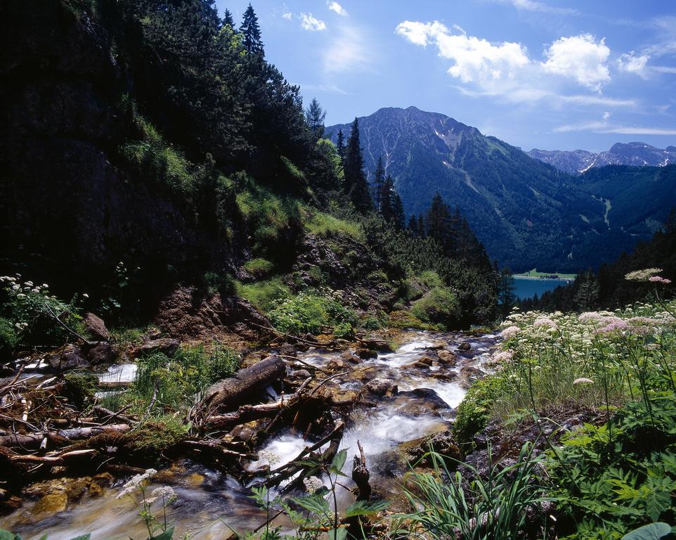 Superior Chalet Tiroler Madl Achenkirch Dış mekan fotoğraf